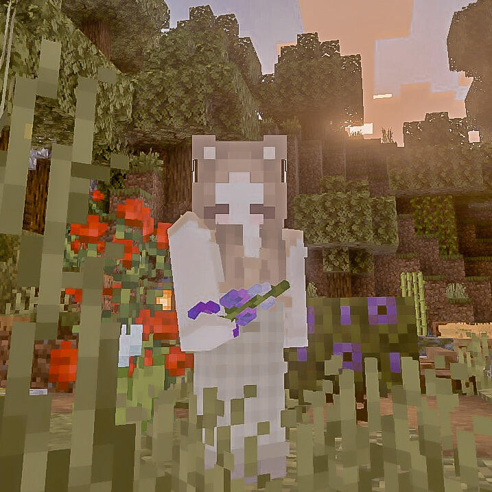 Minecraft Minecraft